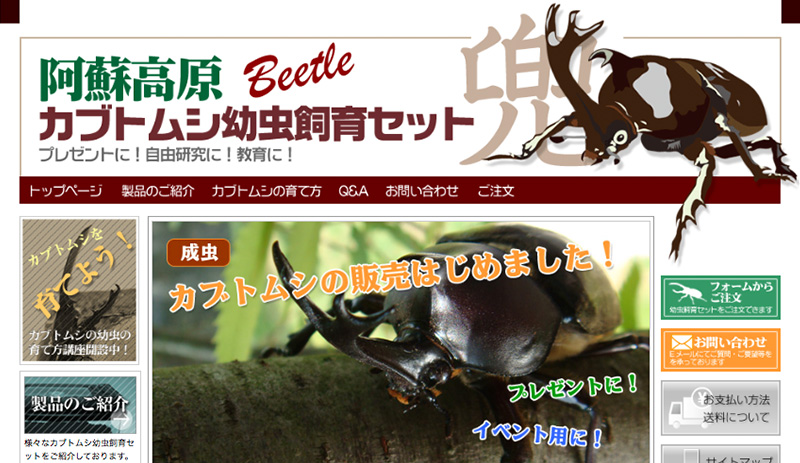 阿蘇高原カブトムシセットWEB02